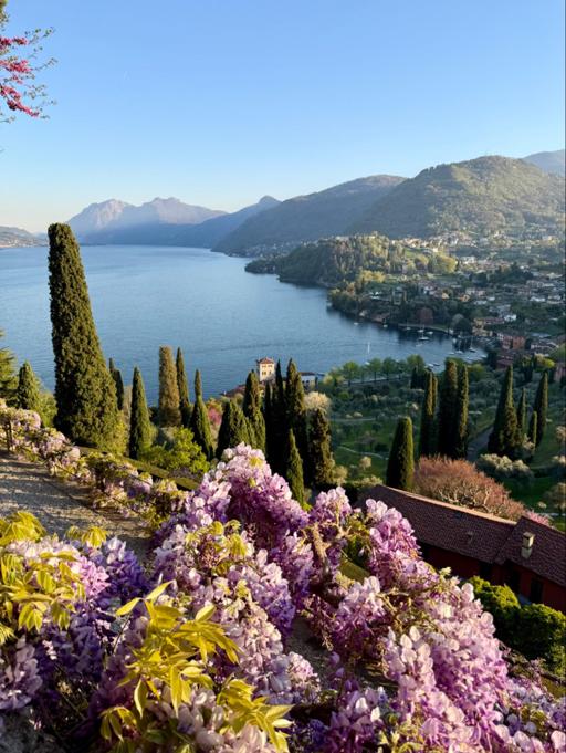 Bellagio: Five Days, 16 Members of Congress, and an Unusually Honest Conversation About AI