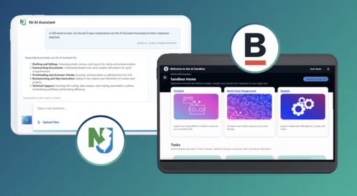 AI for Governance: How Institutions Can Provide AI Access Safely, Affordably, and at Scale
