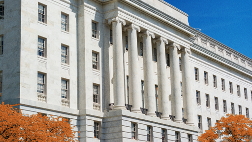 The Future of Constituent Engagement with Congress